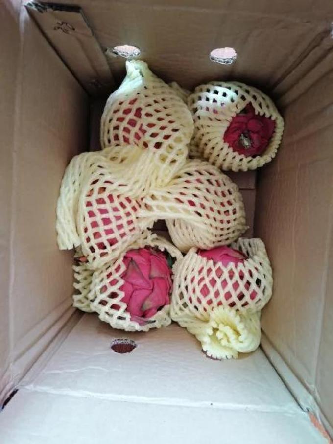 乡寸火龙果