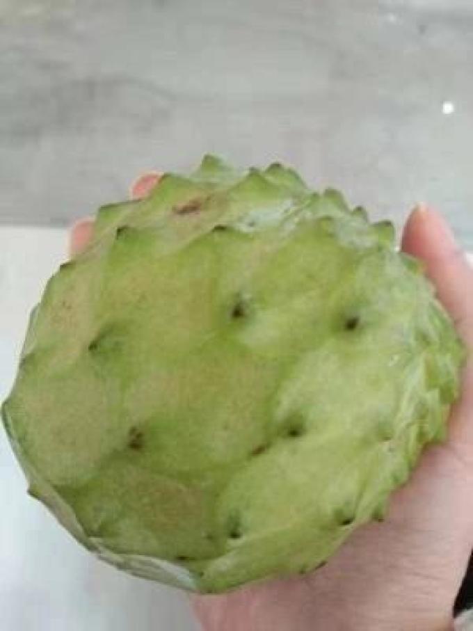 福瑞达其他水果
