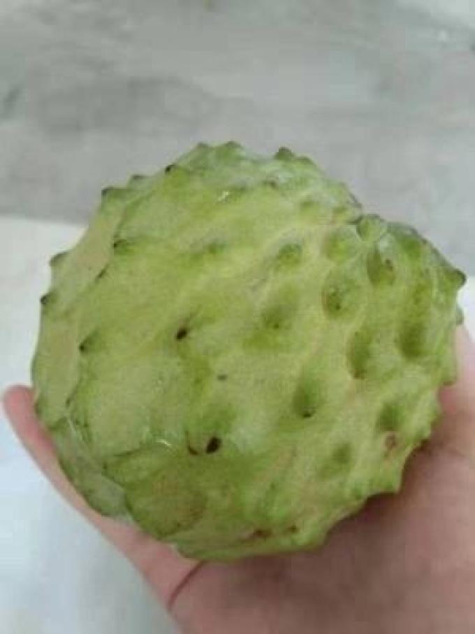 福瑞达其他水果