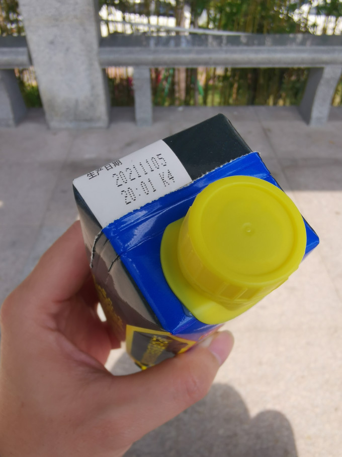 椰树果汁饮料