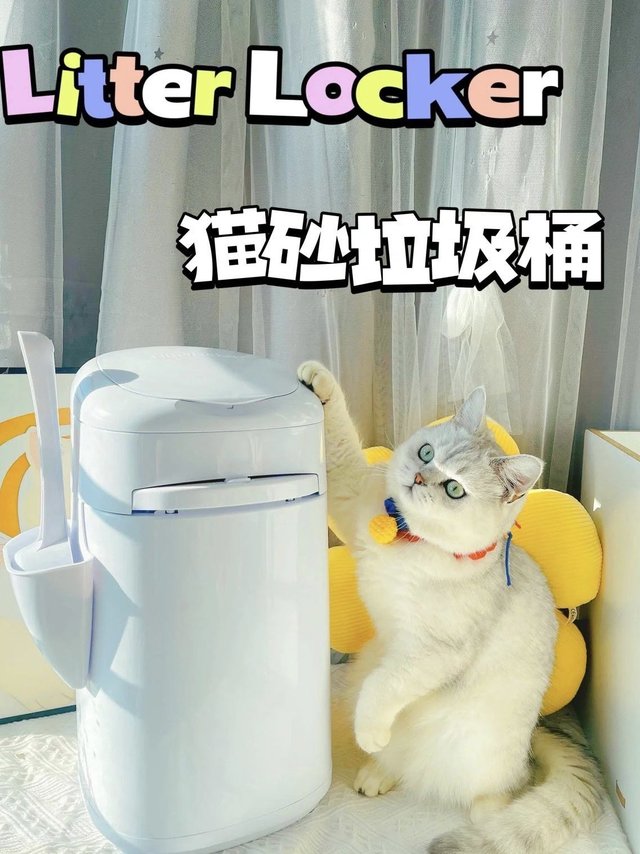 杜绝养猫异味，懒癌患者福音！！！