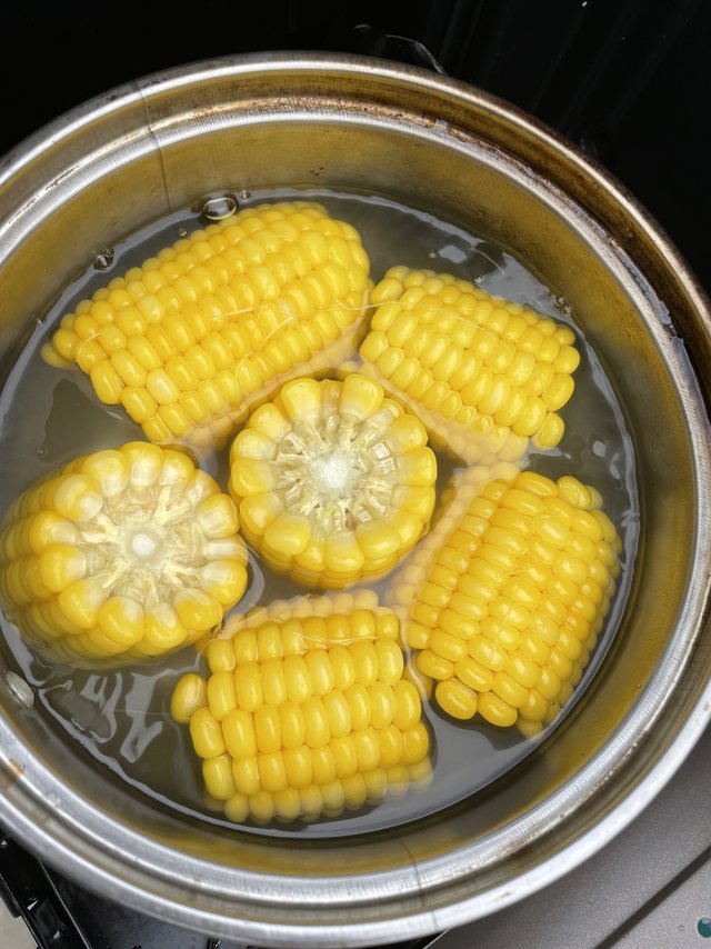 卡式炉yygs