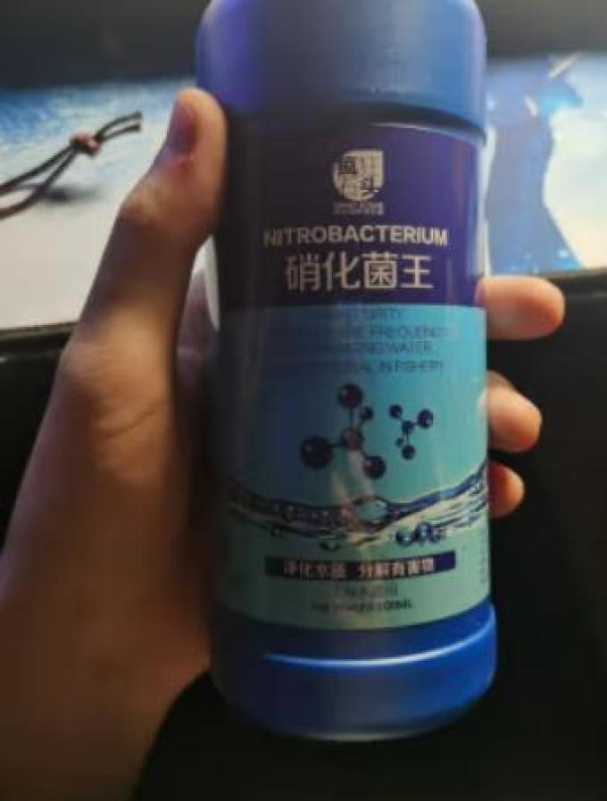 疯狂石头龟缸