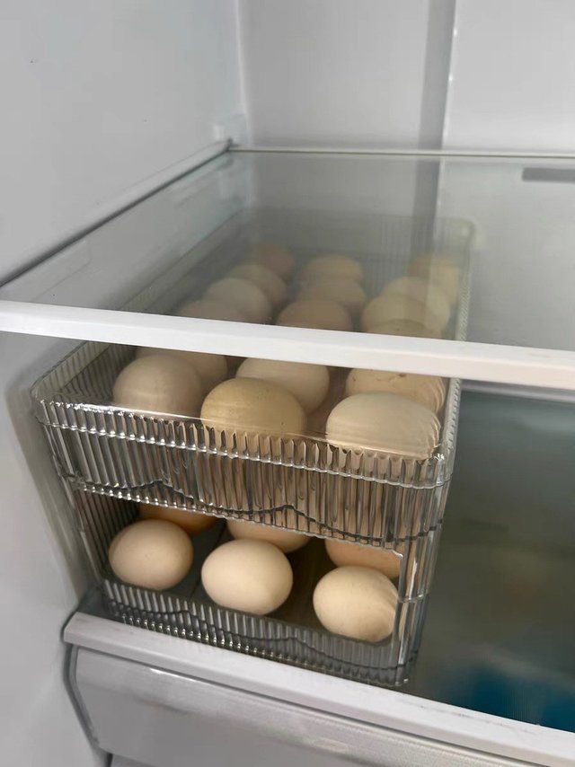 冰箱鸡蛋收纳箱