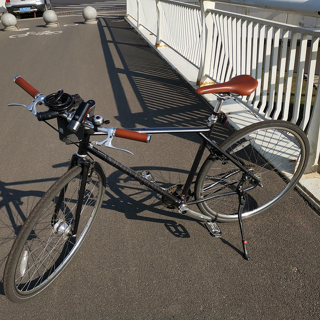 一个生不逢时的国产自行车700BIKE后街