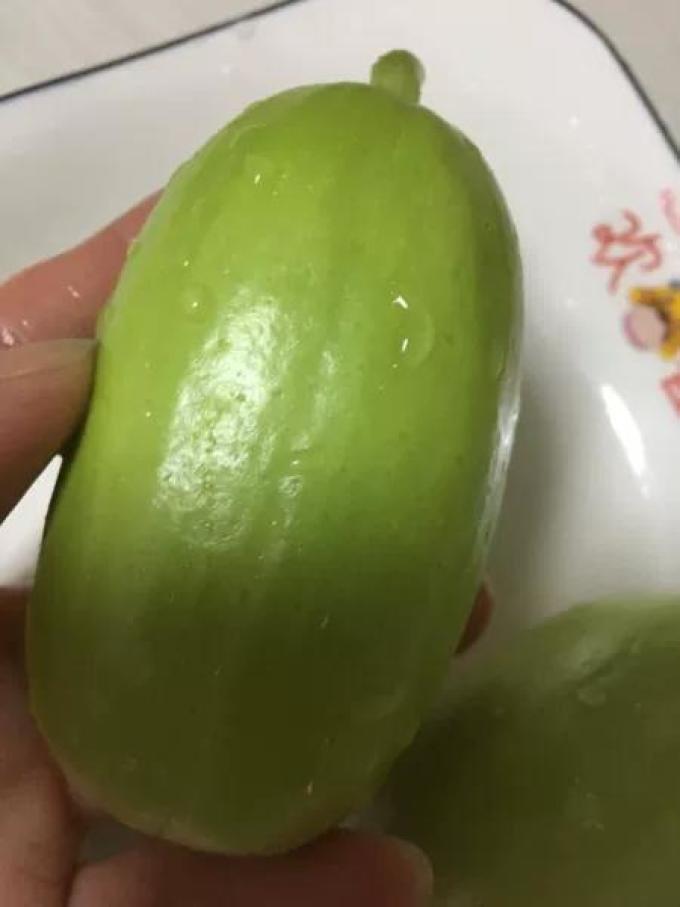 农大姐妹蔬菜