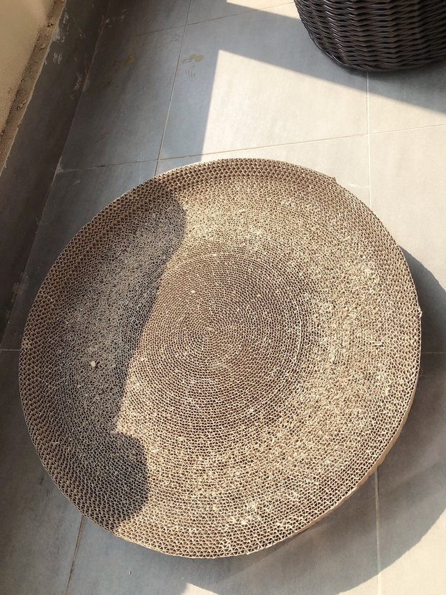 最好用的猫抓板就是最便宜的那种