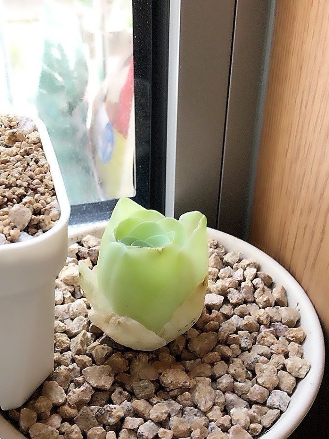 化肥