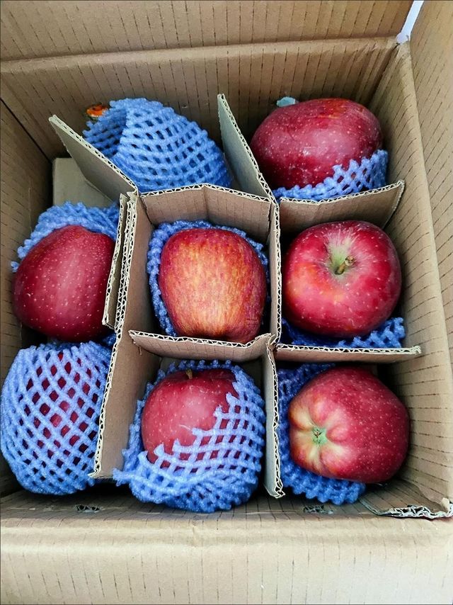 又大又甜的花牛苹果！！！