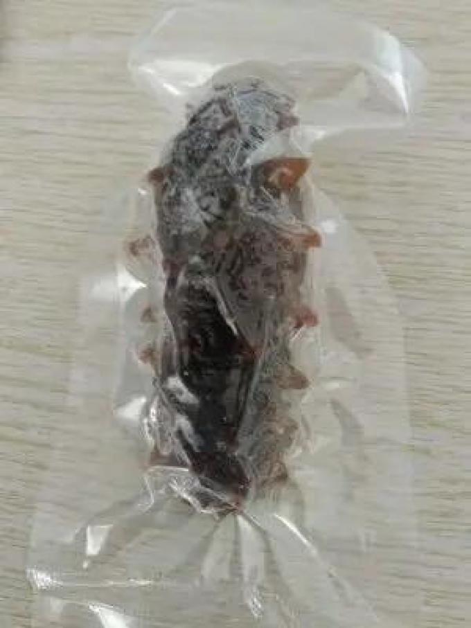 辽参参鲍
