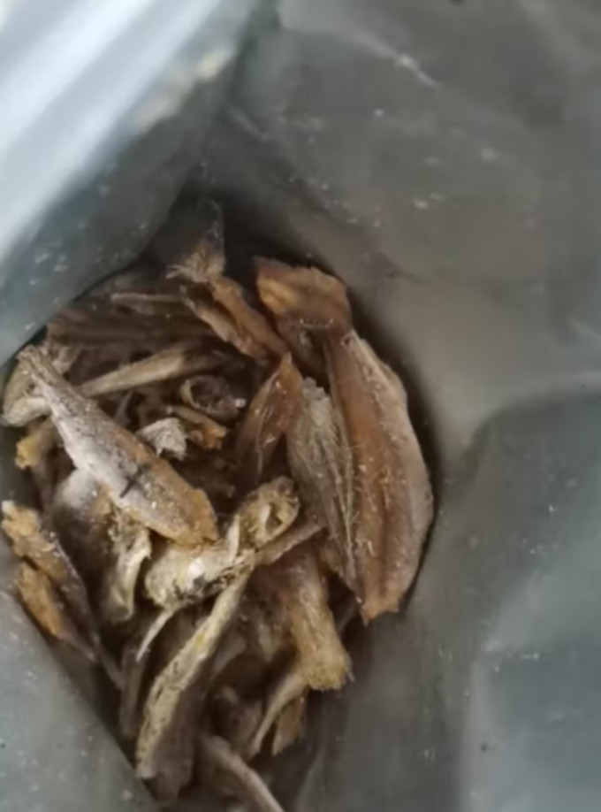 老海公肉干肉脯