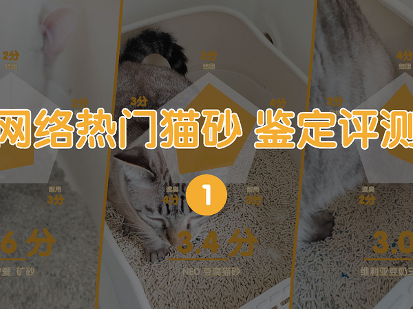 网络热门猫砂 评测鉴定守爱矿砂NEO豆腐猫砂