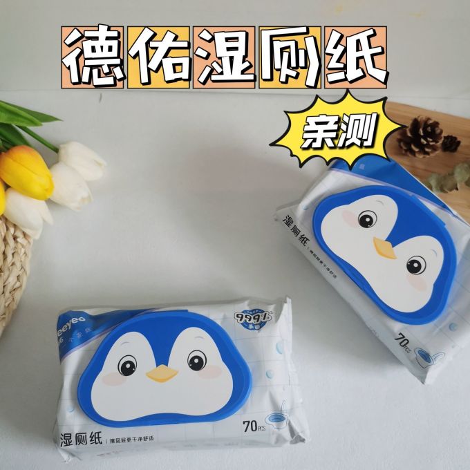 湿厕纸