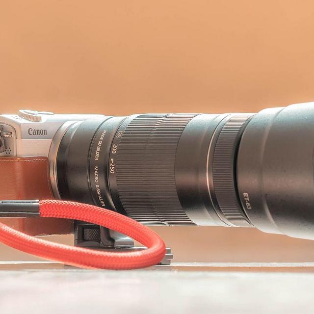 Canon 佳能 EF-S 55-250mm F/4-5.6 IS STM 能拍什么？_单反镜头_什么值得买