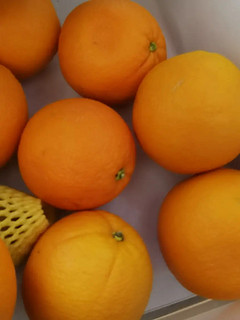 橙子新鲜，水份充足，甜度适中个个饱满