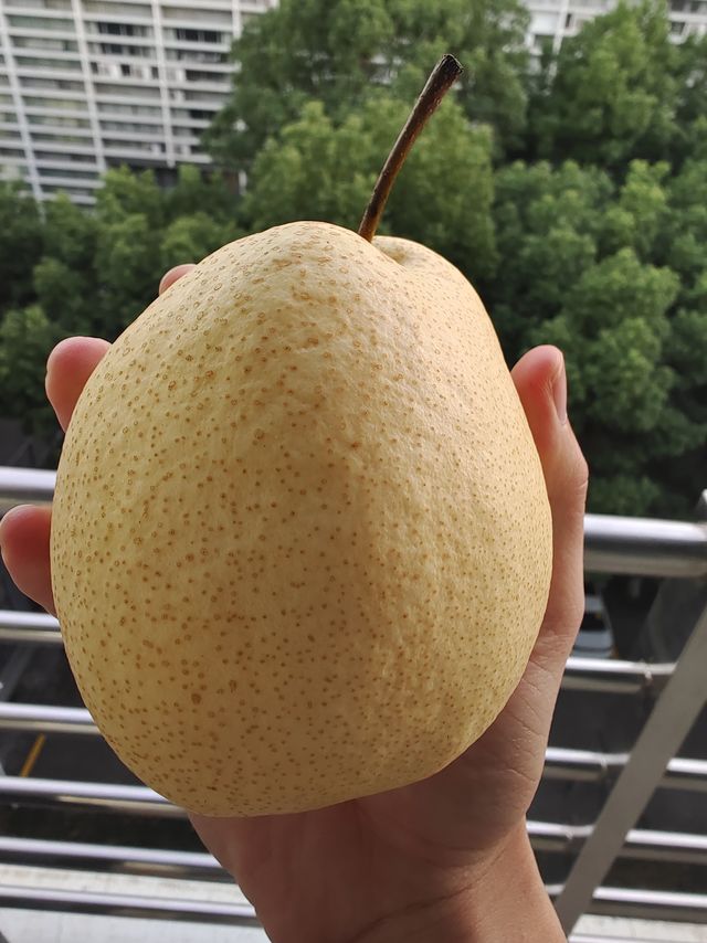入秋之后就得对吃梨子