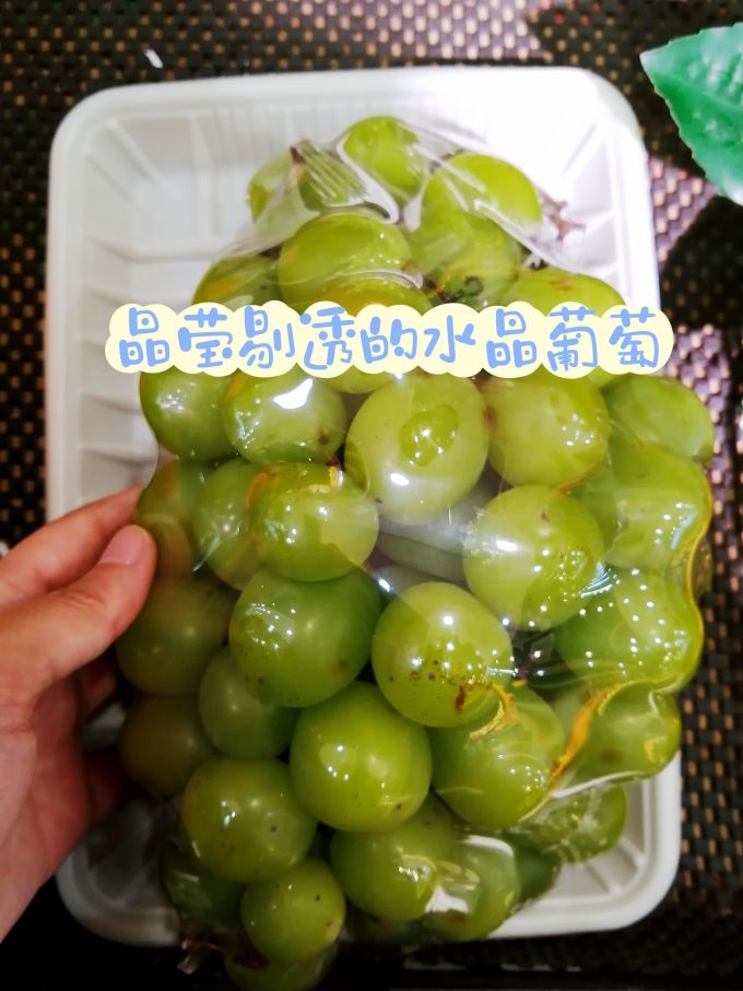 飞犇葡萄/提子