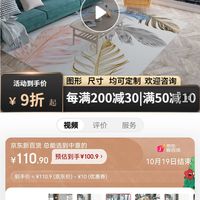  布迪思 流光羽毛 客厅地毯 140*200cm