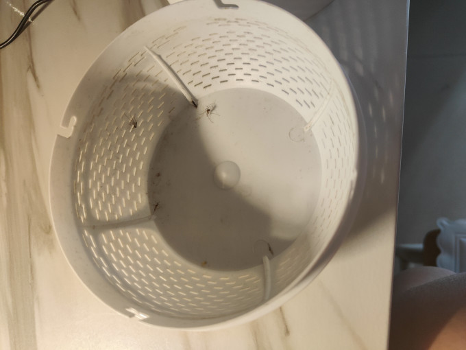 驱虫用品