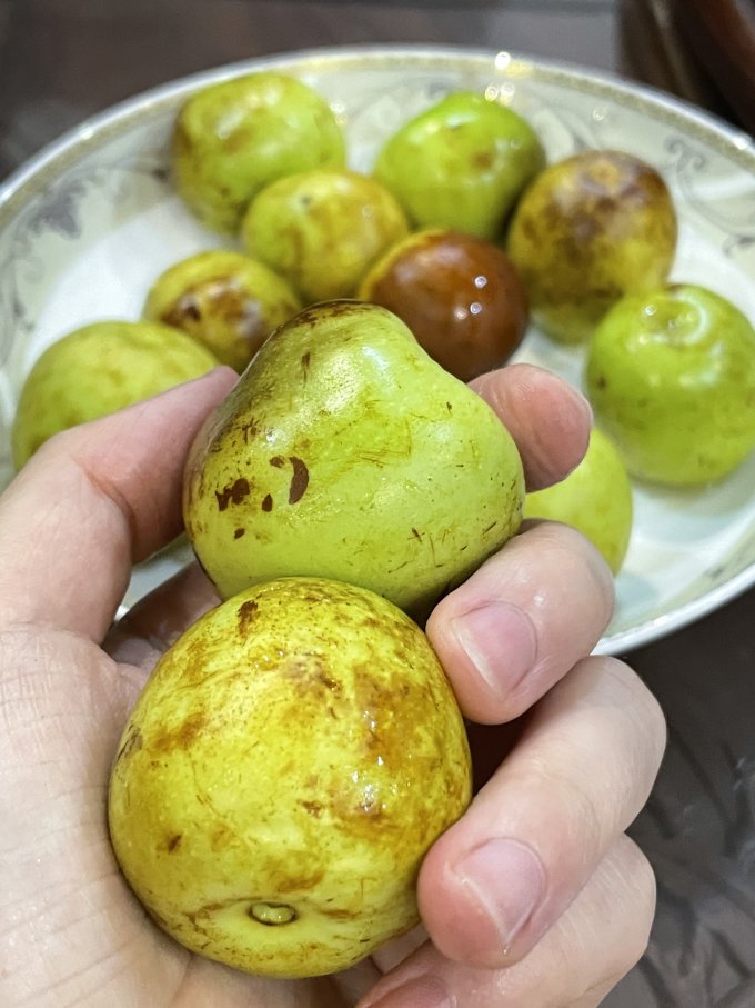 鲜馥其他水果