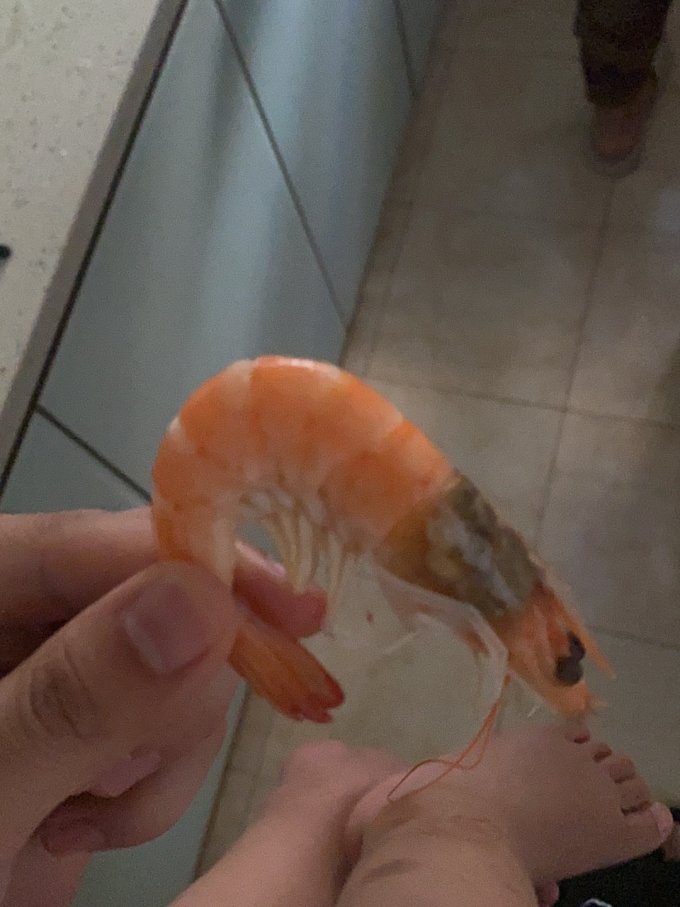 寰球渔市虾类