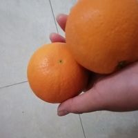 超级好吃的橙子