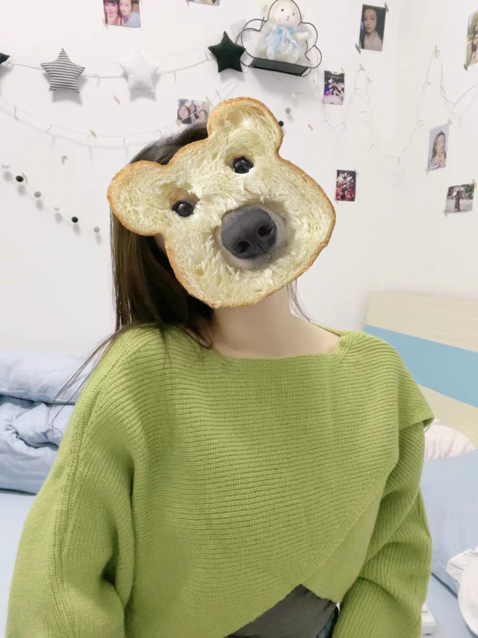 沙菲利女上装