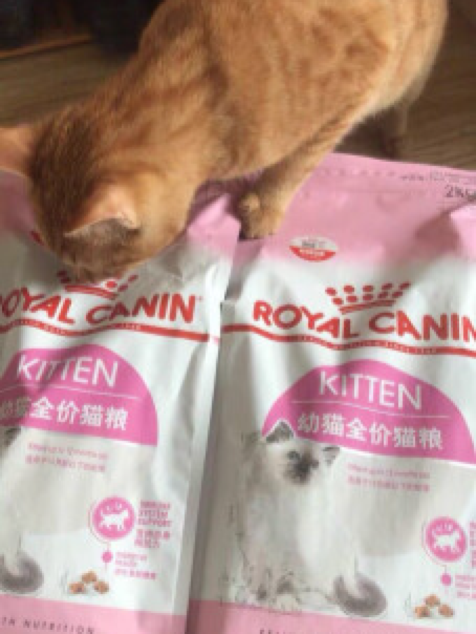 皇家猫粮
