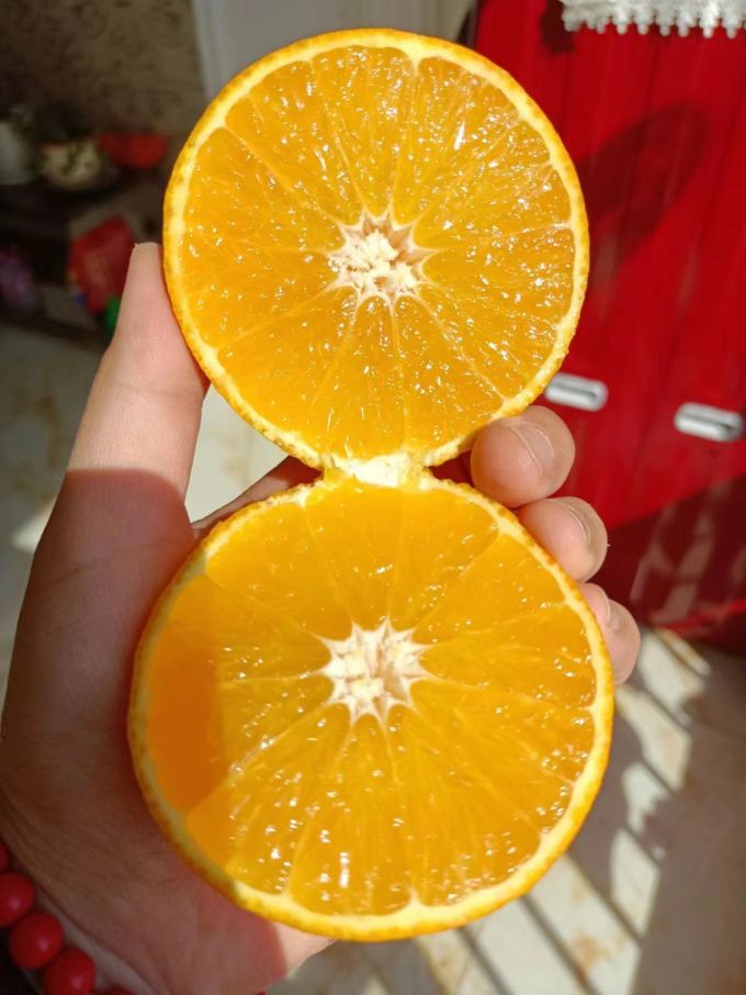 橙子
