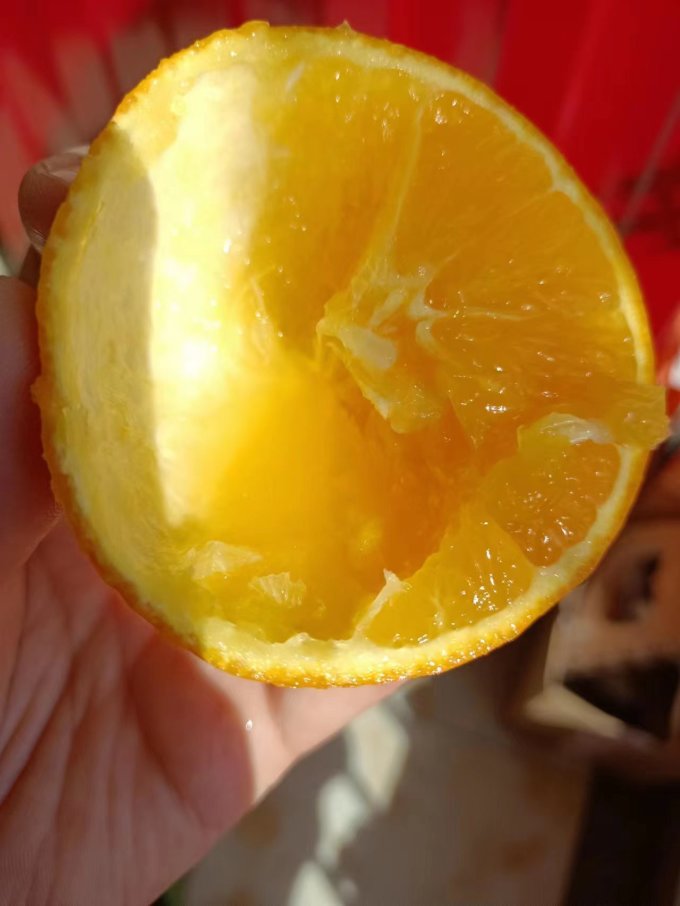 橙子