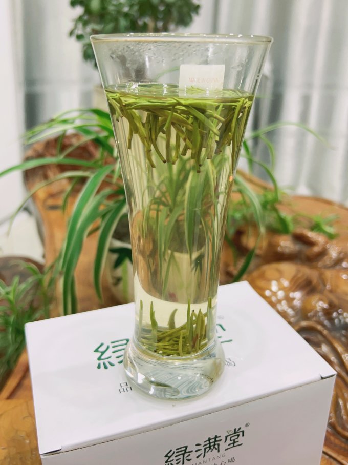 绿满堂绿茶