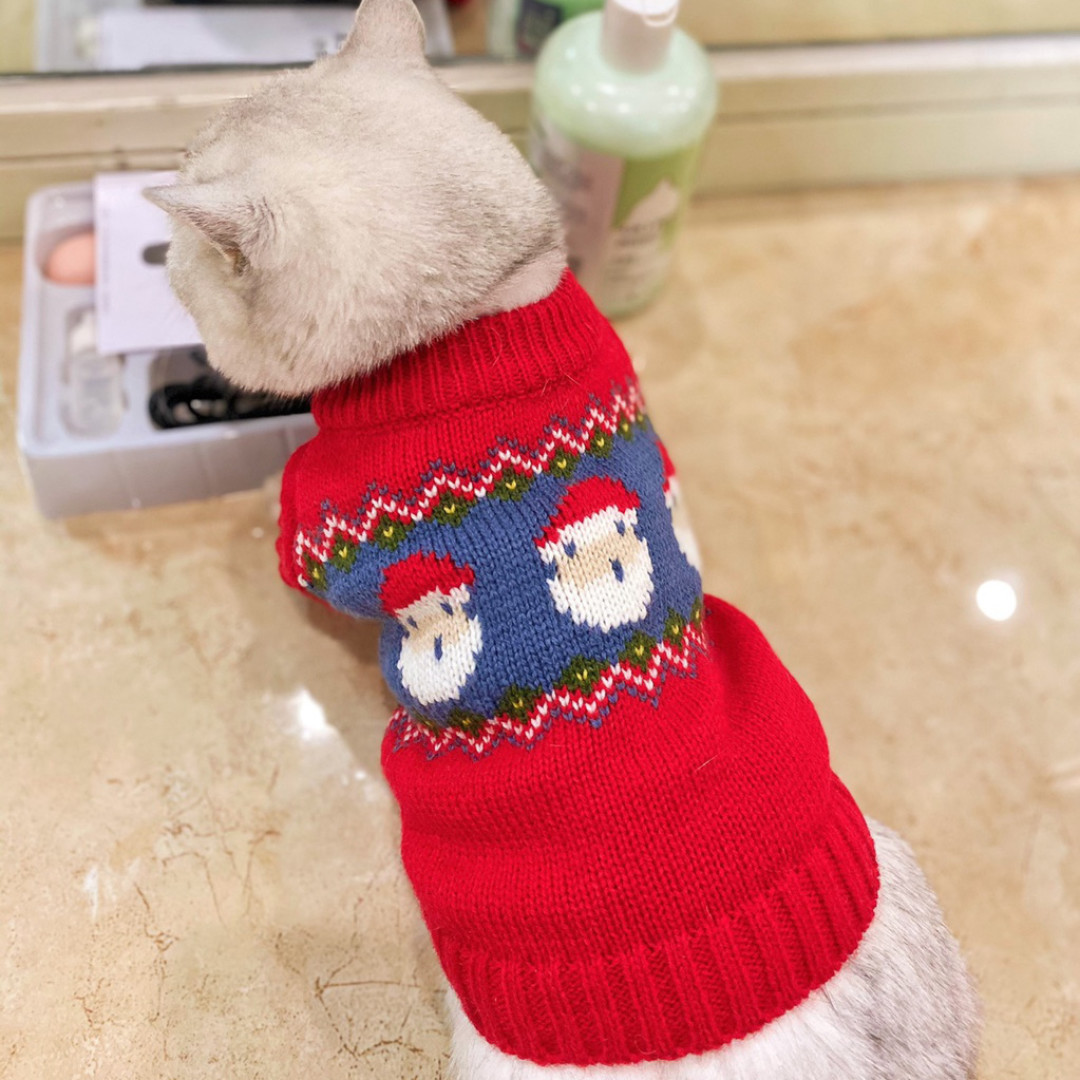 双11养狗店铺分享丨10家狗狗用品店铺私藏（淘宝x天猫），新手养狗避坑指南