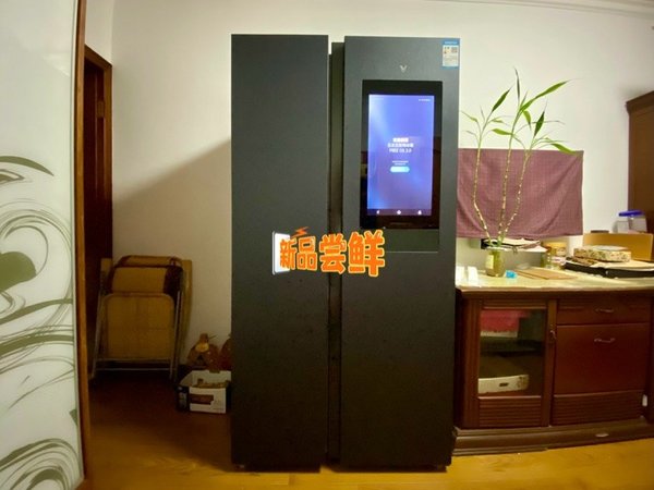 这年头大冰箱很有必要