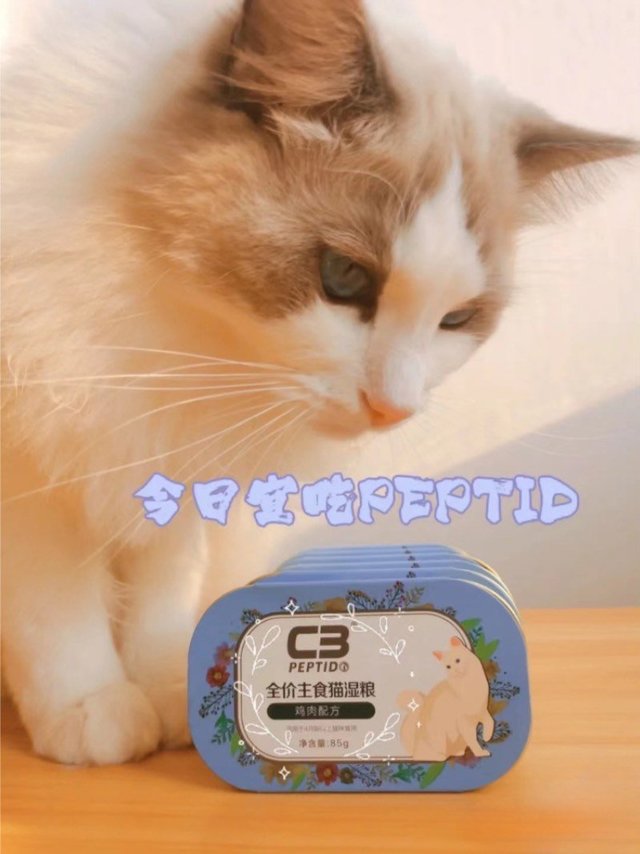 C3帕缇朵主食猫罐