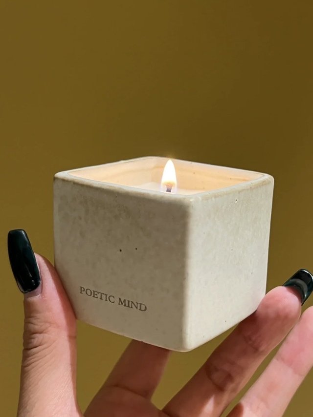 ZARA HOME这块蜡烛都给我去买！