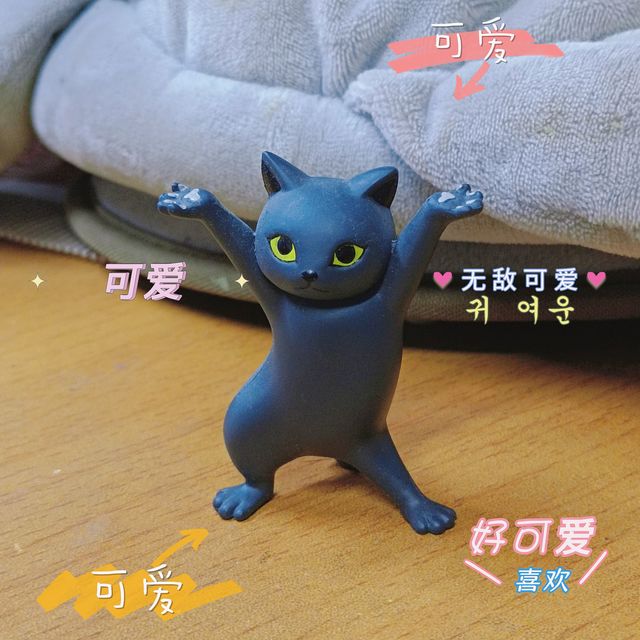 大名鼎鼎的妖娆猫，这也太好玩了吧