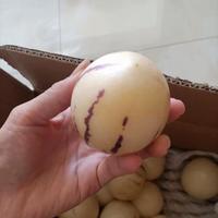 果肉很细腻,味道很浓郁