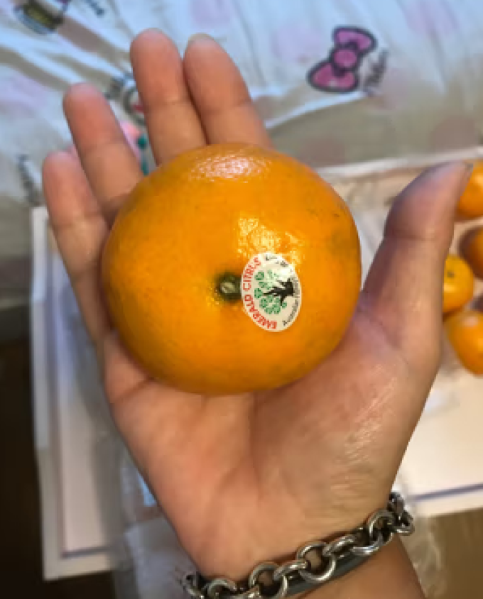 新鲜水果