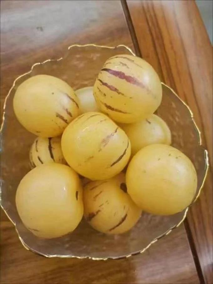 新鲜水果