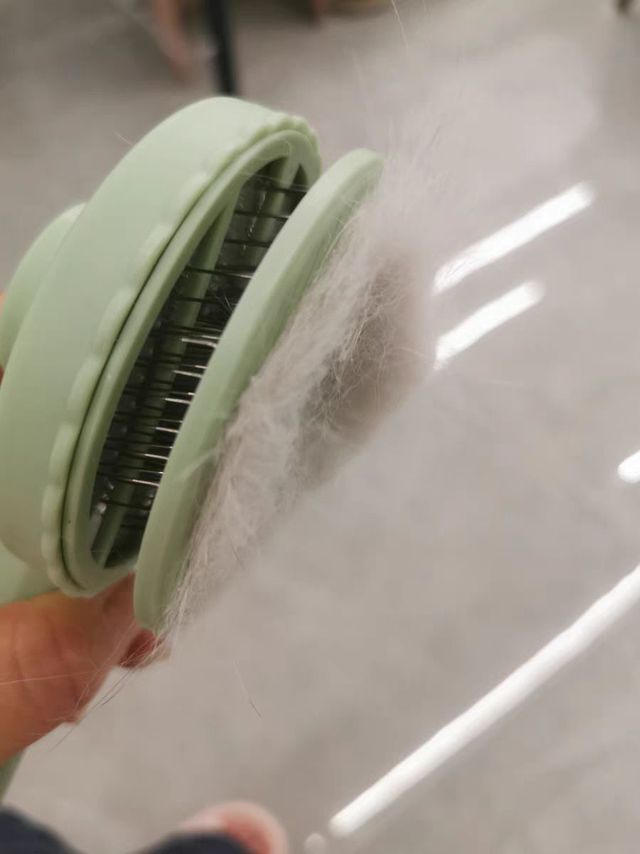 猫咪梳毛专用梳