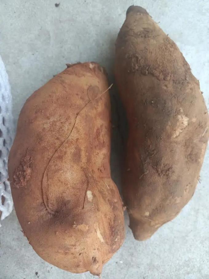 中鲜生新鲜水果