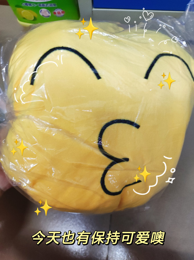 墨斗鱼靠垫靠枕