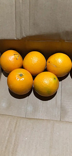 橙子质量特别好，酸甜可口，营养丰富