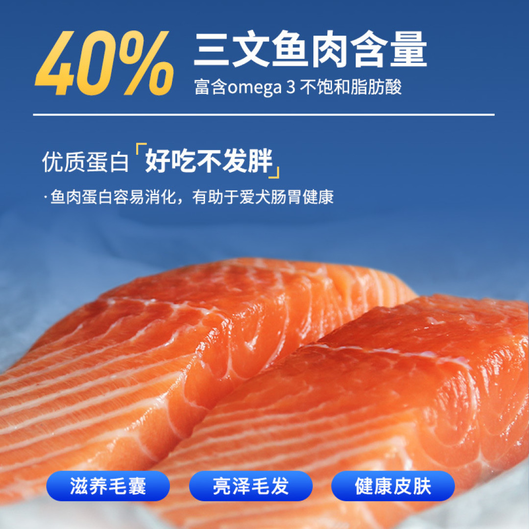 狗粮怎么选?根据狗狗自身需要来选狗粮:肠胃不好怎么选狗粮?想长肉吃什么狗粮牌子好丨新手养狗必看