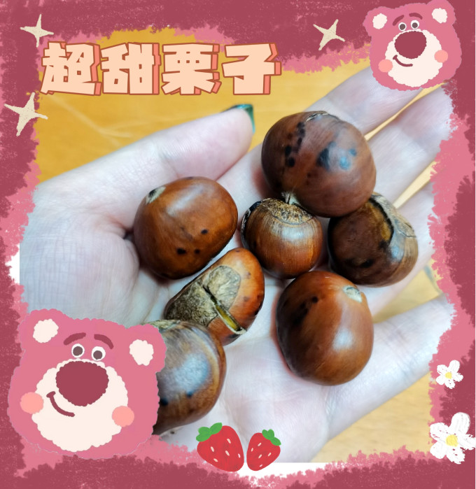沙窝曙光坚果炒货