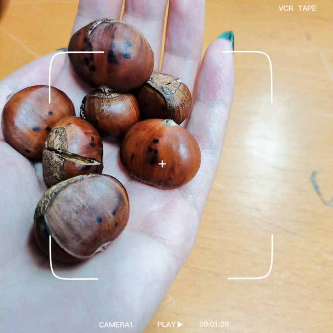 沙窝曙光坚果炒货