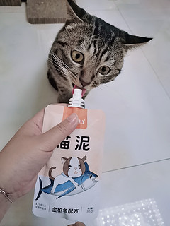 什么这个猫食背后竟然做这种事？