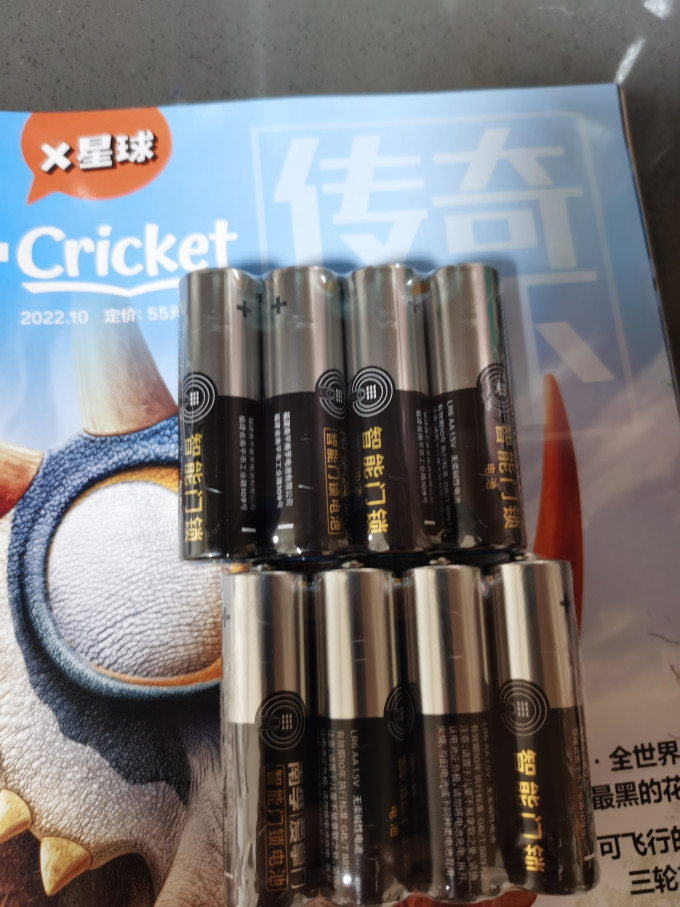 南孚电池