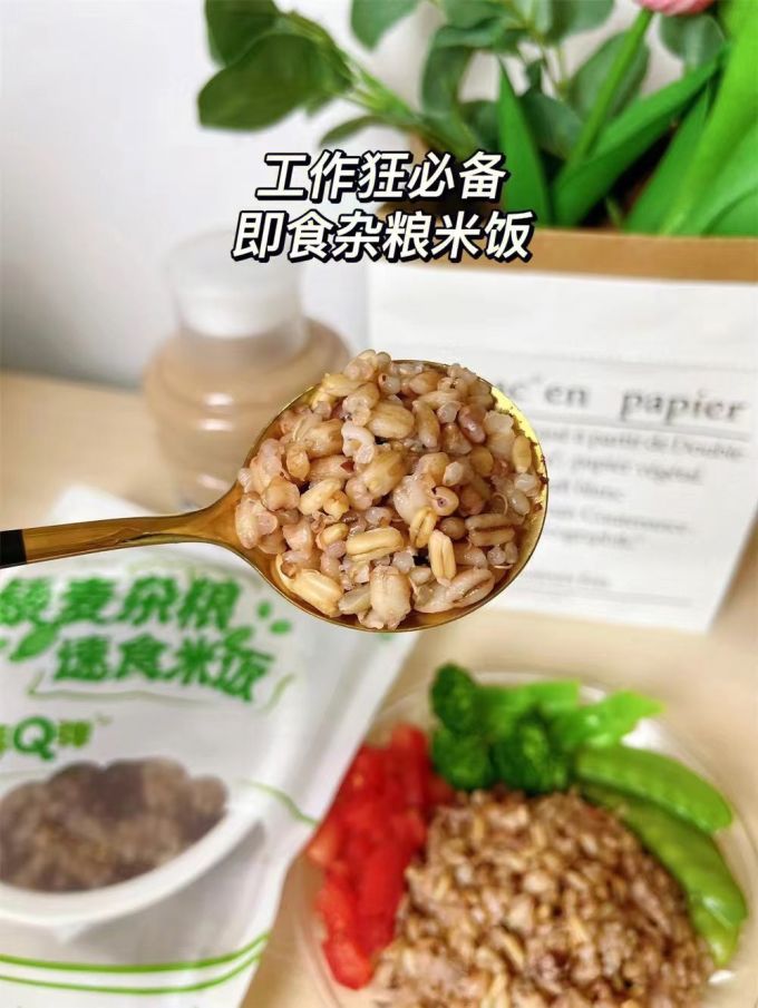 其他方便食品