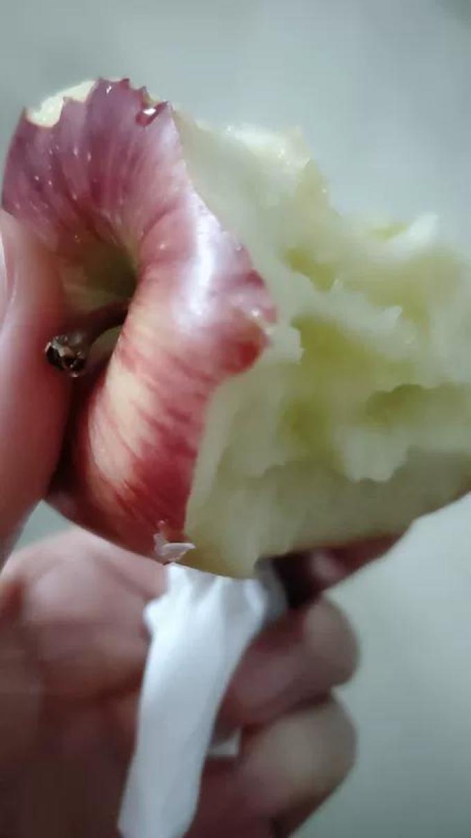 苹果